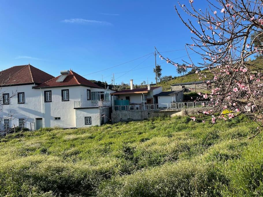Casa Da Celeste Maljoga de Proenca Exterior photo