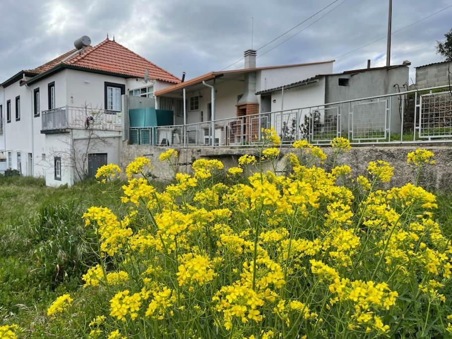 Casa Da Celeste Maljoga de Proenca Exterior photo